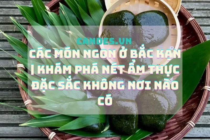 Các món ngon ở Bắc Kạn | Khám phá nét ẩm thực đặc sắc không nơi nào có