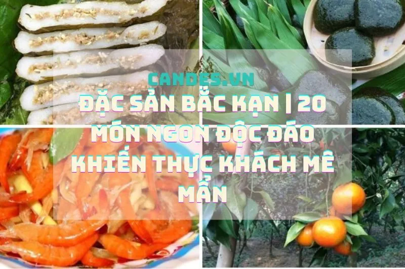 Đặc sản Bắc Kạn | 20 Món Ngon Độc Đáo Khiến Thực Khách Mê Mẩn