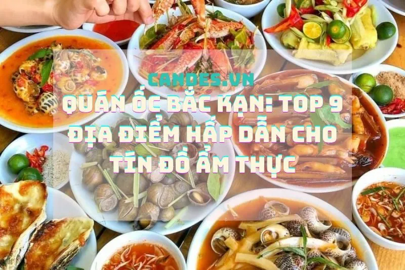 Quán ốc Bắc Kạn: Top 9 địa điểm hấp dẫn cho tín đồ ẩm thực