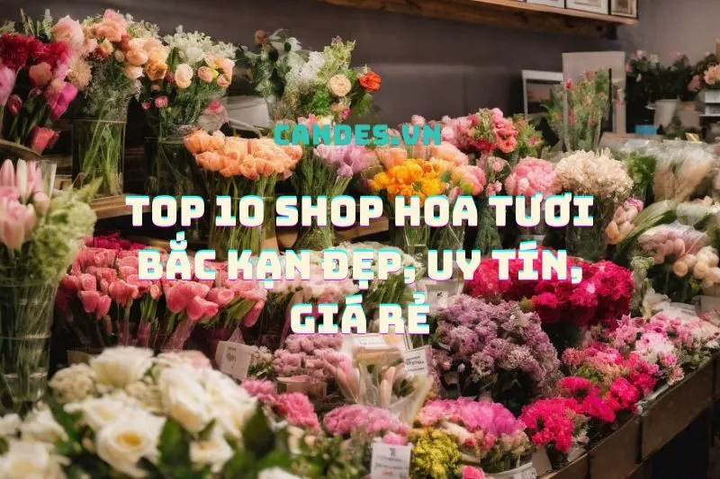 Top 10 Shop Hoa Tươi Bắc Kạn Đẹp, Uy Tín, Giá Rẻ