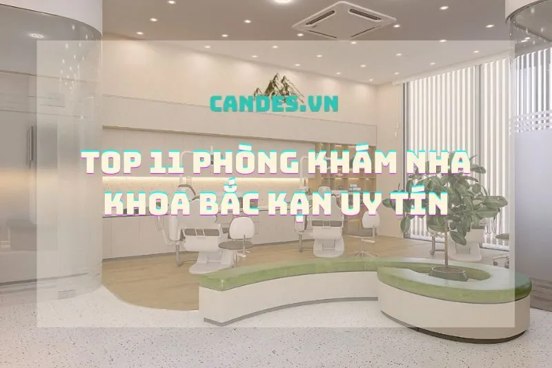 Top 11 Phòng Khám Nha Khoa Bắc Kạn Uy Tín