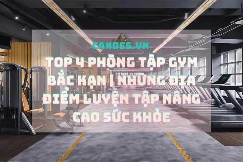 Top 4 phòng tập Gym Bắc Kạn | Những địa điểm luyện tập nâng cao sức khỏe