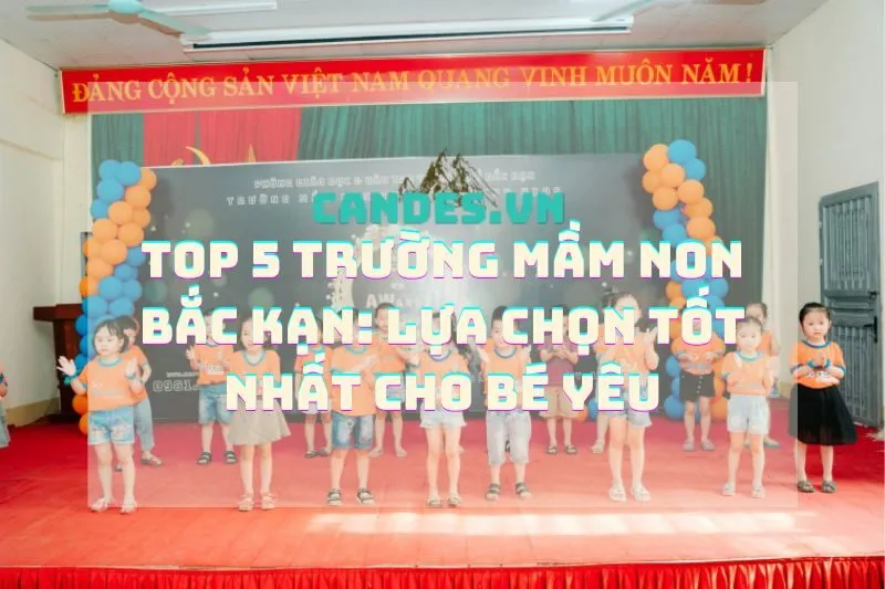 Top 5 Trường Mầm Non Bắc Kạn: Lựa Chọn Tốt Nhất Cho Bé Yêu