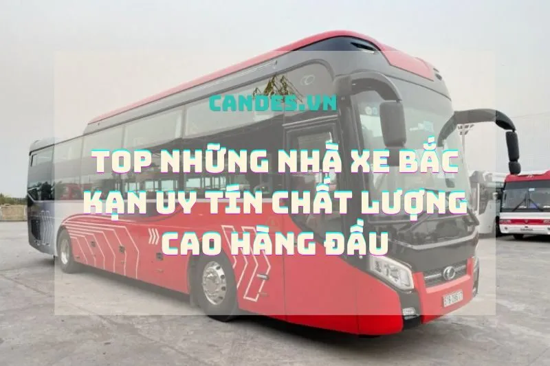 Top những nhà xe Bắc Kạn uy tín chất lượng cao hàng đầu