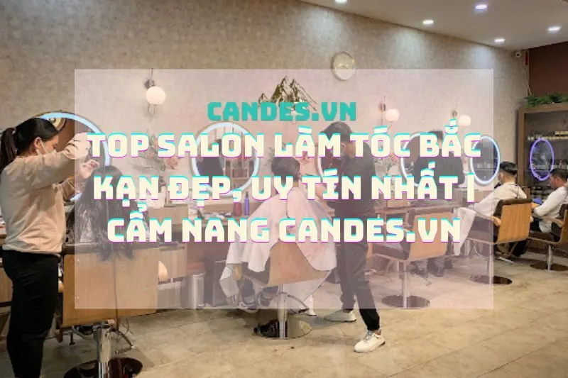 Top Salon Làm Tóc Bắc Kạn Đẹp, Uy Tín Nhất | Cẩm Nang Candes.vn